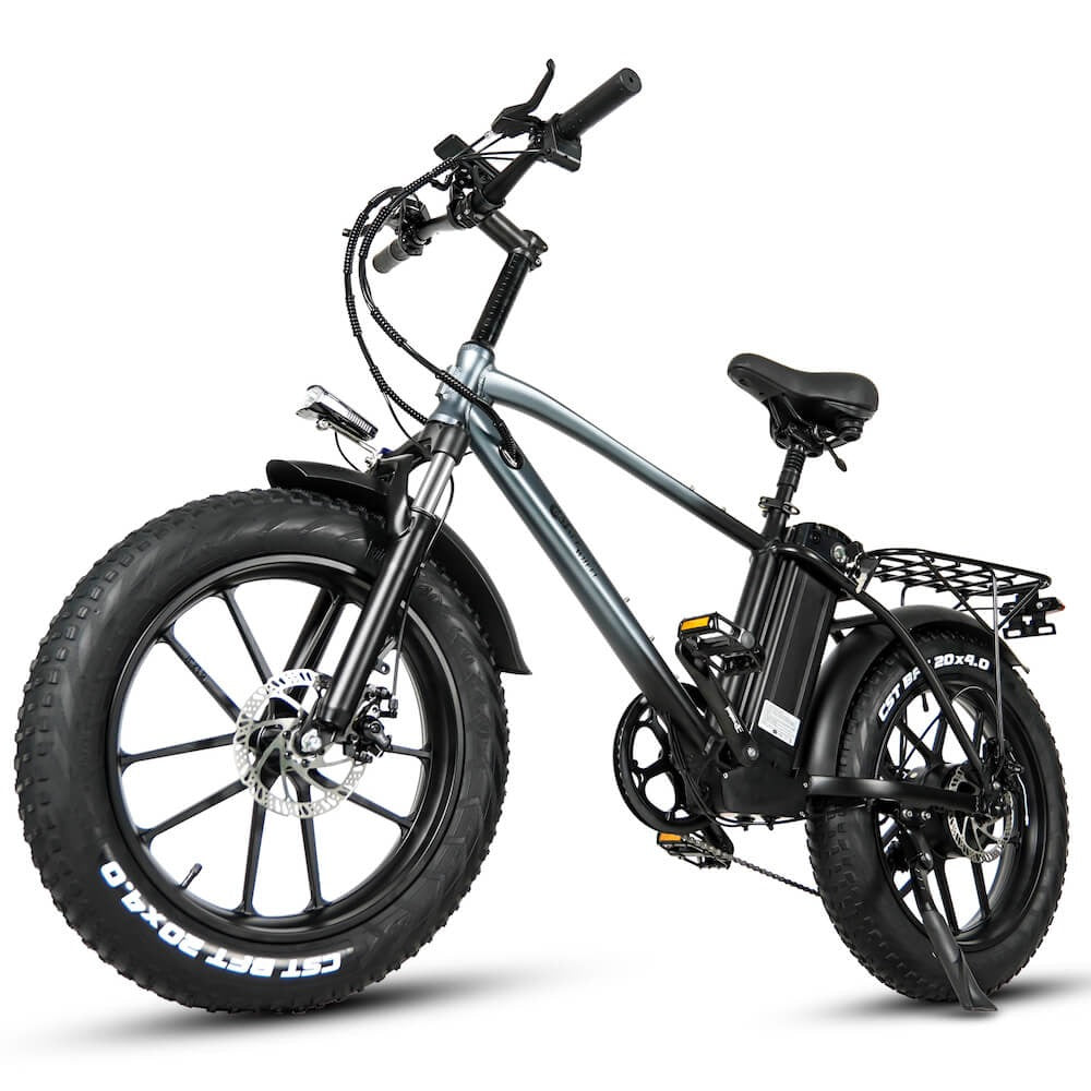 Elcykel Cmacewheel T20