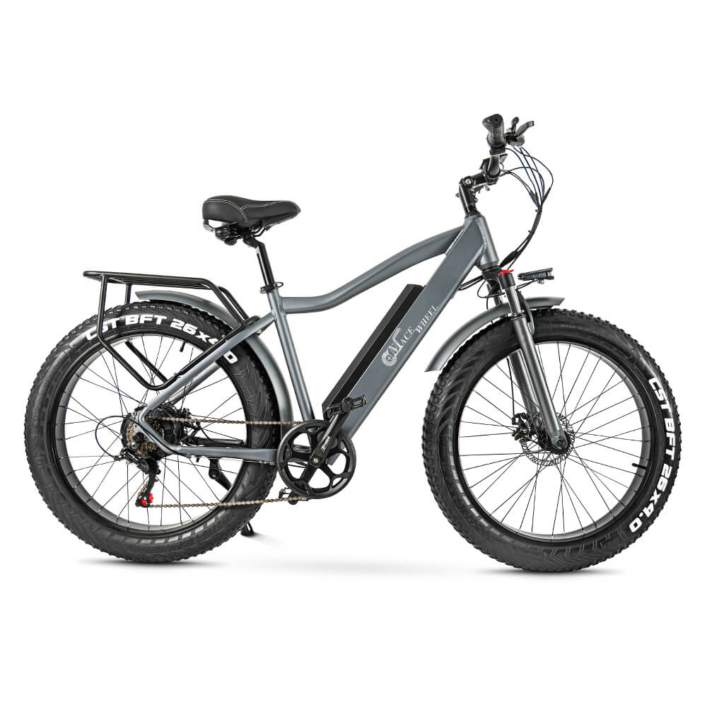 Elcykel Cmacewheel J26