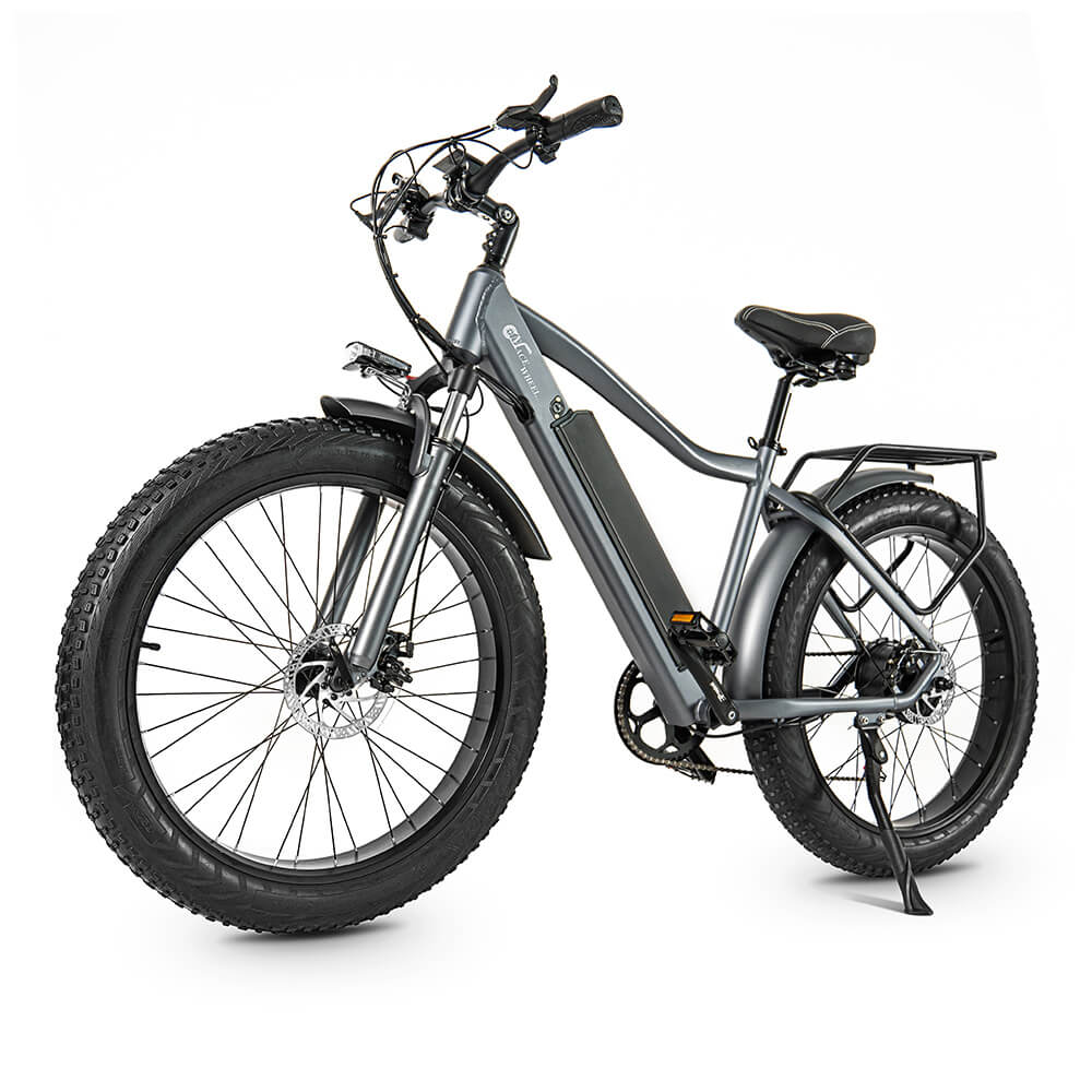 Elcykel Cmacewheel J26