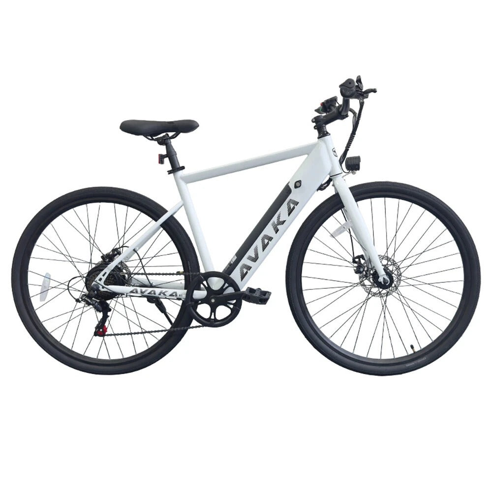 Elcykel Avaka R1