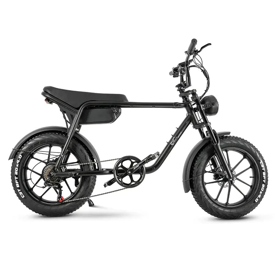 Elcykel Cmacewheel K20