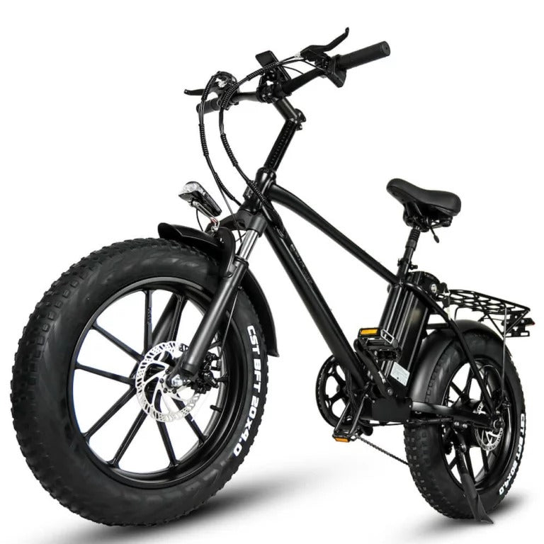 Elcykel Cmacewheel T20